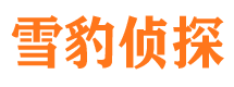 栾城市侦探调查公司